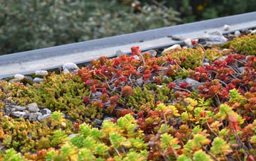 the cost of Stowting Common green roof installation