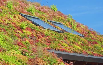Stowting Common living roof systems