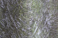 Stowting Common fibreglass roof work